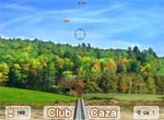 Caza virtual
